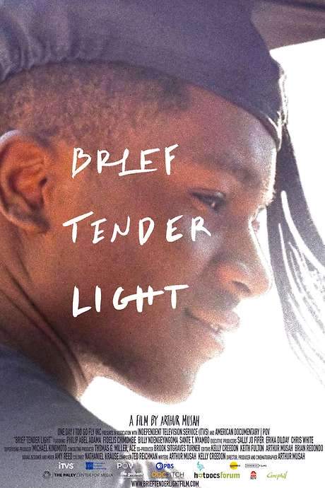 Brief Tender Light